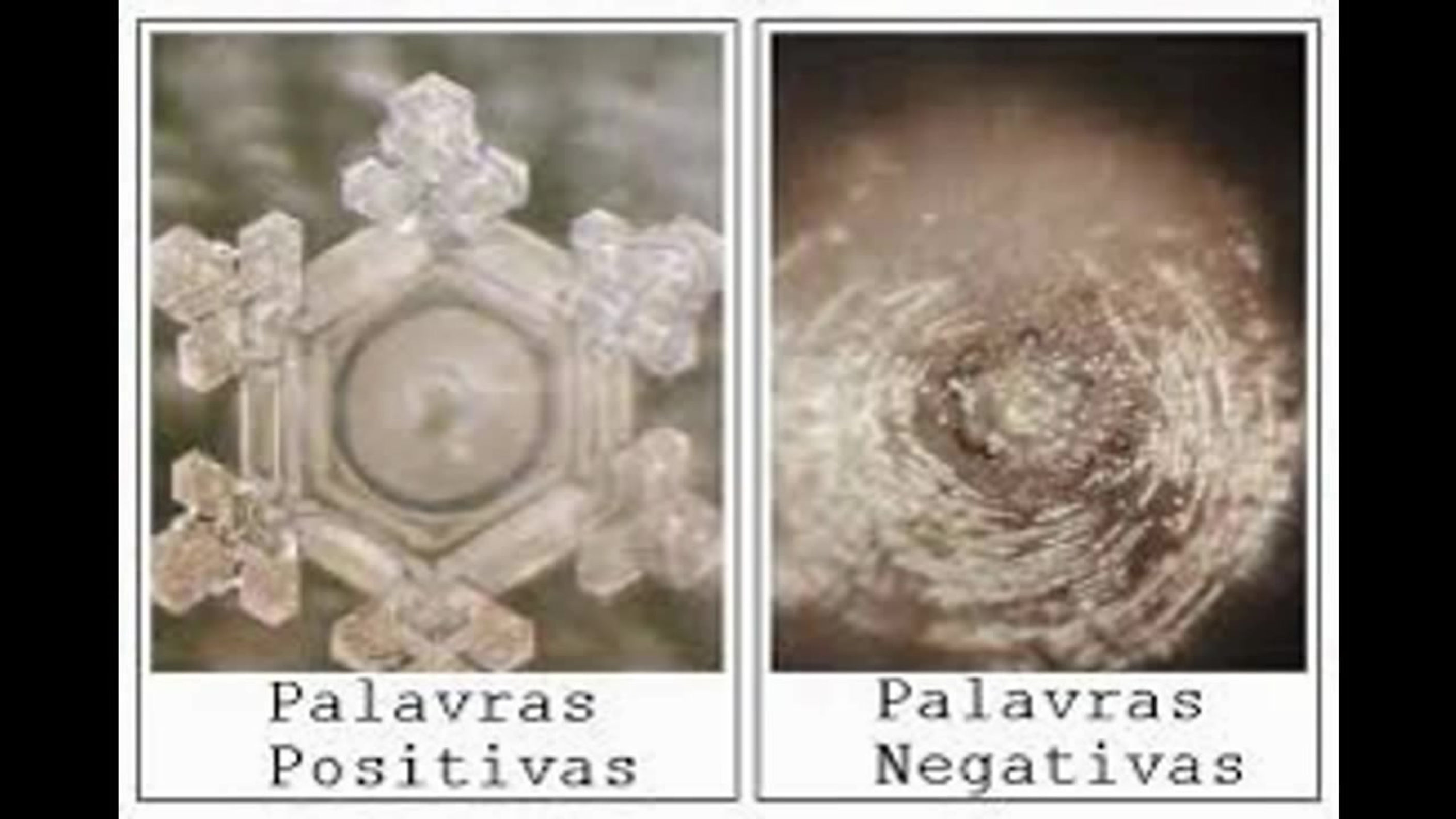 Todos os vídeos